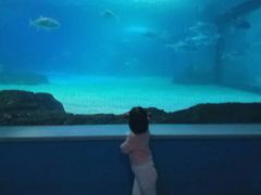 -常州海昌海洋探索馆