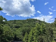 -白水寺森林公园