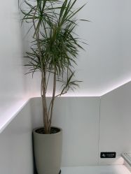-LJOY丽锦造型·烫发染发