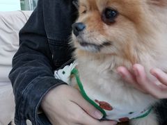 -怪兽屋·羊驼·猫咖·狗咖(俊华广场店)