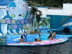 -深圳野生动物园
