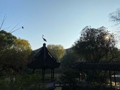 -上海醉白池公园