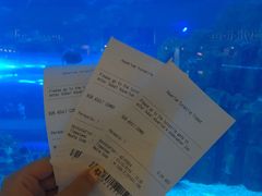 -迪拜水族馆及水下动物园