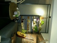 android_upload_pic-THEDAY蛋糕(团结路店)