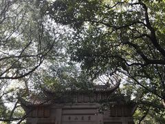 -灵岩山风景区