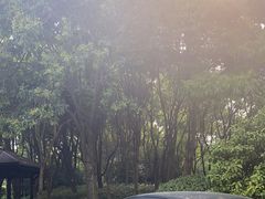 -贡湖湾湿地公园