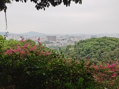 -广州市白云山风景名胜区