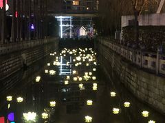 -锦江乐园舞狸花花游园会(夜场专享)