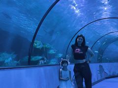 -蓬莱欧乐堡海洋极地世界