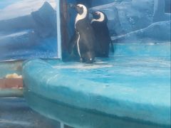 -洛阳龙门海洋馆