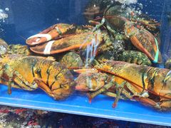 -鹊华居·地道鲁菜·海鲜·融合味(大明湖店)