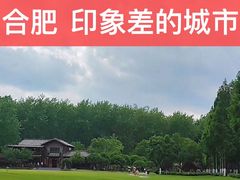 -合肥滨湖国家森林公园