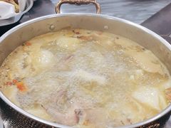 五指毛桃药膳鸽-鸽鸟轩(石岐店)