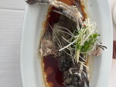 豉汁蒸珍珠斑-顺峰(农展馆店)