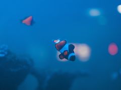 -大明湖海底世界