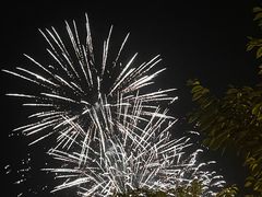 -花博汇(知音花月夜)