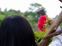 -东莞植物园