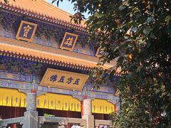 -西安大兴善寺