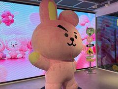-KAKAO FRIENDS(弘大店)