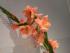 -潮堂 · 潮州菜(人广来福士店)