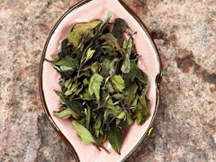 -伴山茶苑·围炉煮茶