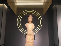 -四川大学博物馆