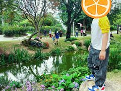 -人民公园(罗湖区)