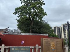 -揭阳学宫(榕城区)