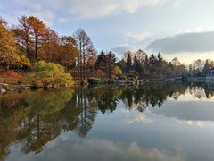 -四明山国家森林公园