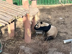 -沈阳森林动物园