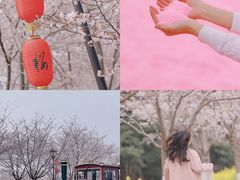 -古柏渡飞黄旅游区