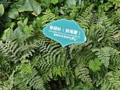 -济南植物园