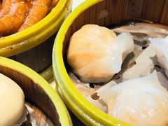 -东方早茶 海鲜•青岛菜(国信体育中心店)