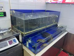 -活鱼馆(宜兴埠店)