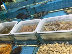 -无锡天鹏食品城