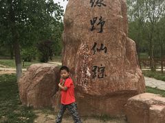 -杨柳青庄园