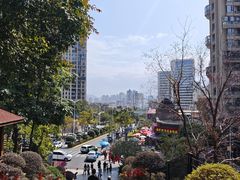 -仙岳公园