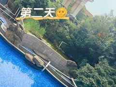 -上海东方佘山翰悦阁酒店·Vie全日制餐厅