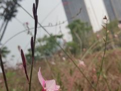 -府河摄影公园