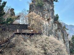 -青龙山生态文化旅游区