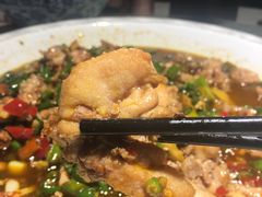 -新概念来凤鱼(璧山店)