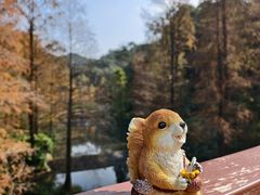 -云溪植物园