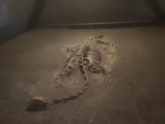 -世界恐龙谷景区