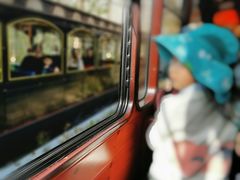 -合肥滨湖国家森林公园