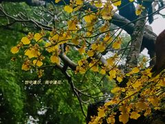 -广州兰圃