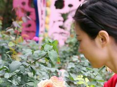 -人民公园(罗湖区)