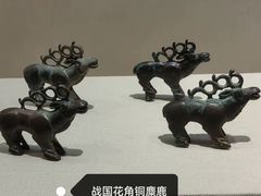 -张掖市博物馆