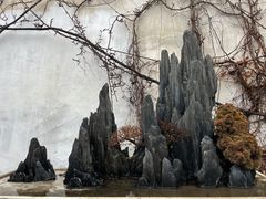 -留园