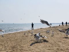 -金梦海湾浴场
