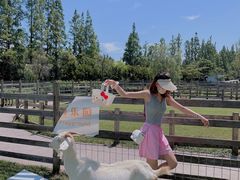 -前小桔亲子创意农场·草莓采摘·露营烧烤